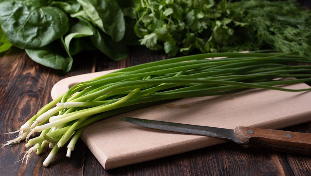 Samonikle jestive biljke u proljeće: vodič i ideje