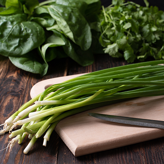 Samonikle jestive biljke u proljeće: vodič i ideje